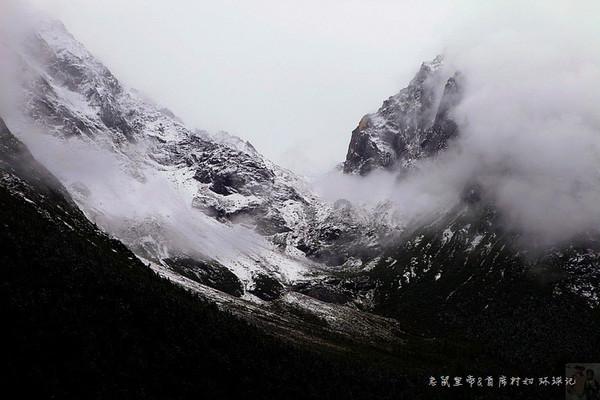 逃离整洁的庭院